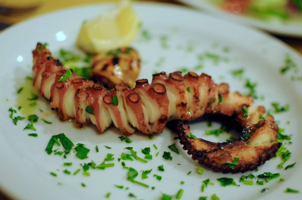 Naples Octopus